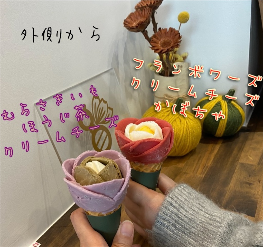 f:id:DEP-TRAVEL:20231114163441j:image