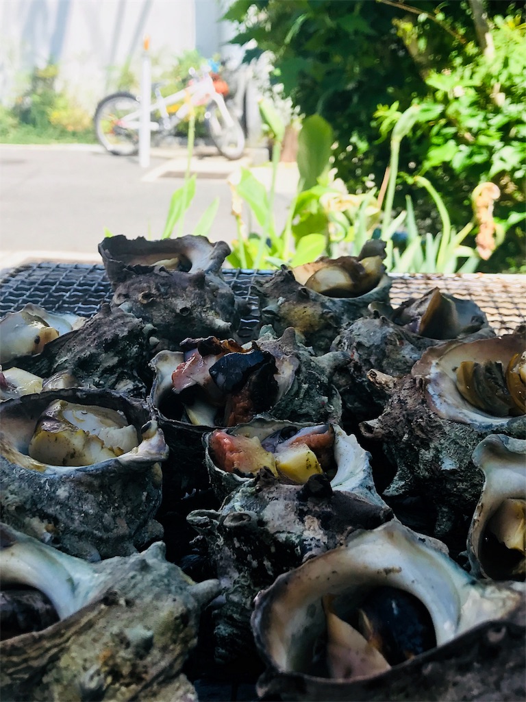 f:id:DICKMAN:20180505114517j:image