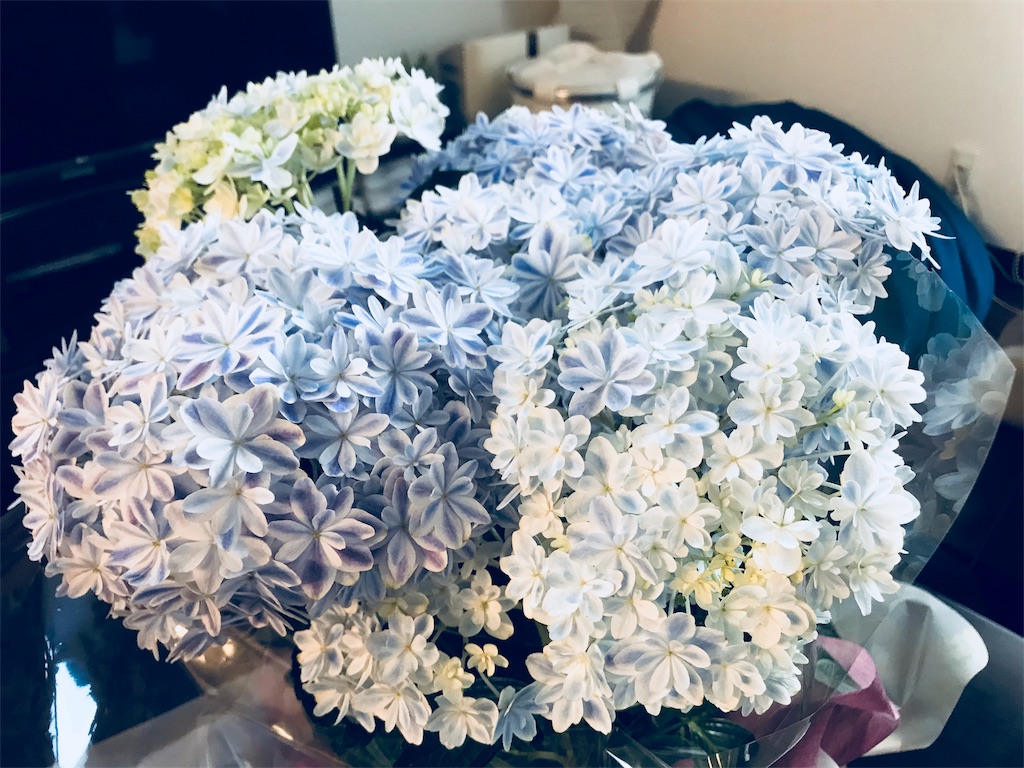 f:id:DICKMAN:20180512182417j:image