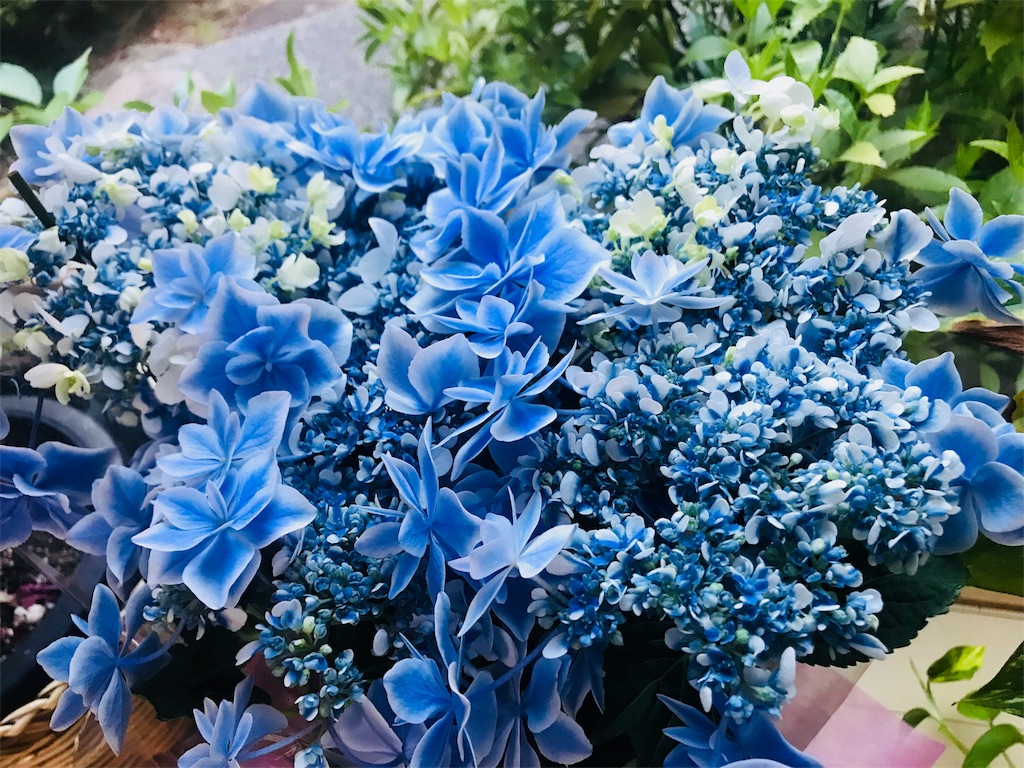 f:id:DICKMAN:20180512215819j:image