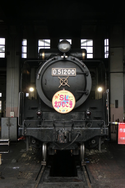 CIMG9919-1.JPG