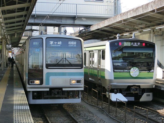 CIMG5817.JPG