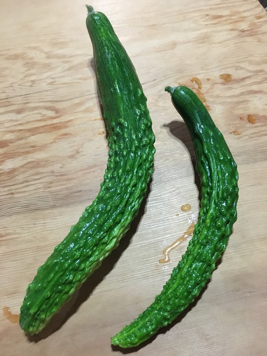 ゴジラみたいなお化けキュウリが採れたので料理してやっつける Diyな畑をやってみた