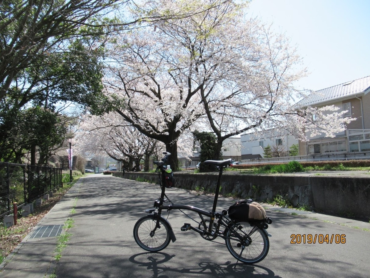 桜開花 つくばりんりんロードのベストシーズン到来 でも新型コロナウイルス 東京下町ミニベロ日記