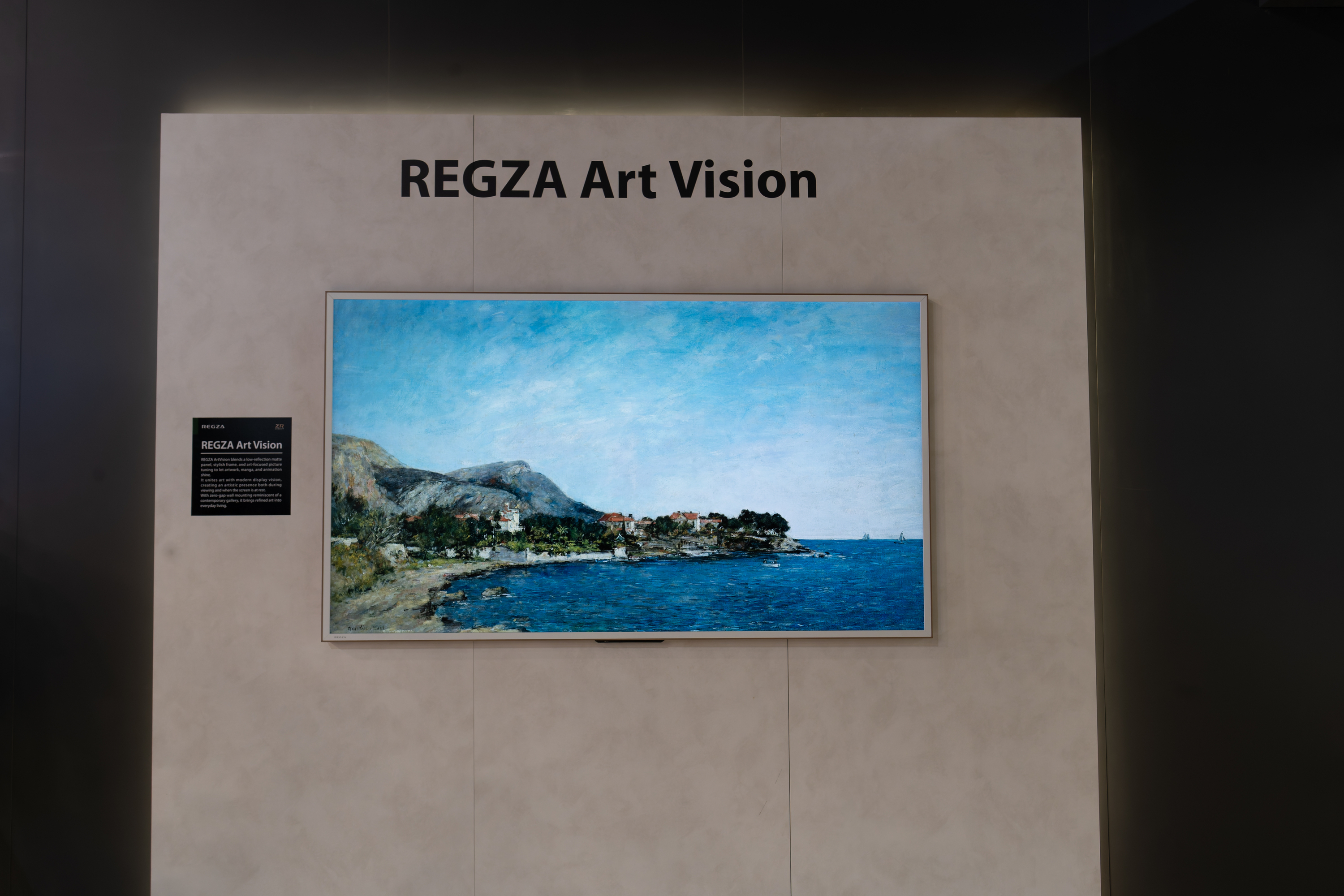 REGZA Art Vision
