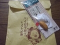 20121228204527