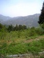 20110504141721