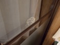 20120804234210