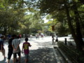 20130814113342