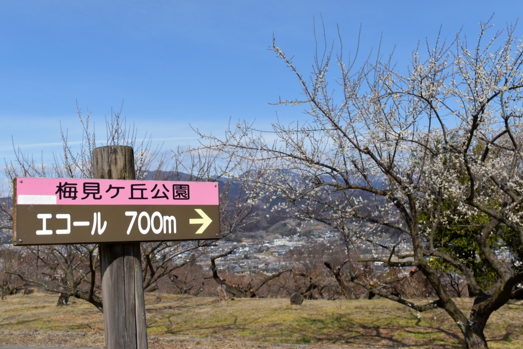 f:id:DONKIHOTE:20160226114527j:plain f:id:DONKIHOTE:20160226114527j:plain