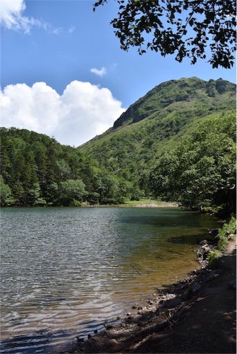 f:id:DONKIHOTE:20160718225620j:image f:id:DONKIHOTE:20160718225620j:image