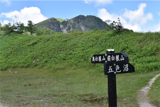 f:id:DONKIHOTE:20160718231457j:image f:id:DONKIHOTE:20160718231457j:image