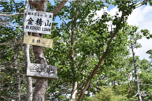 f:id:DONKIHOTE:20160718232800j:image f:id:DONKIHOTE:20160718232800j:image