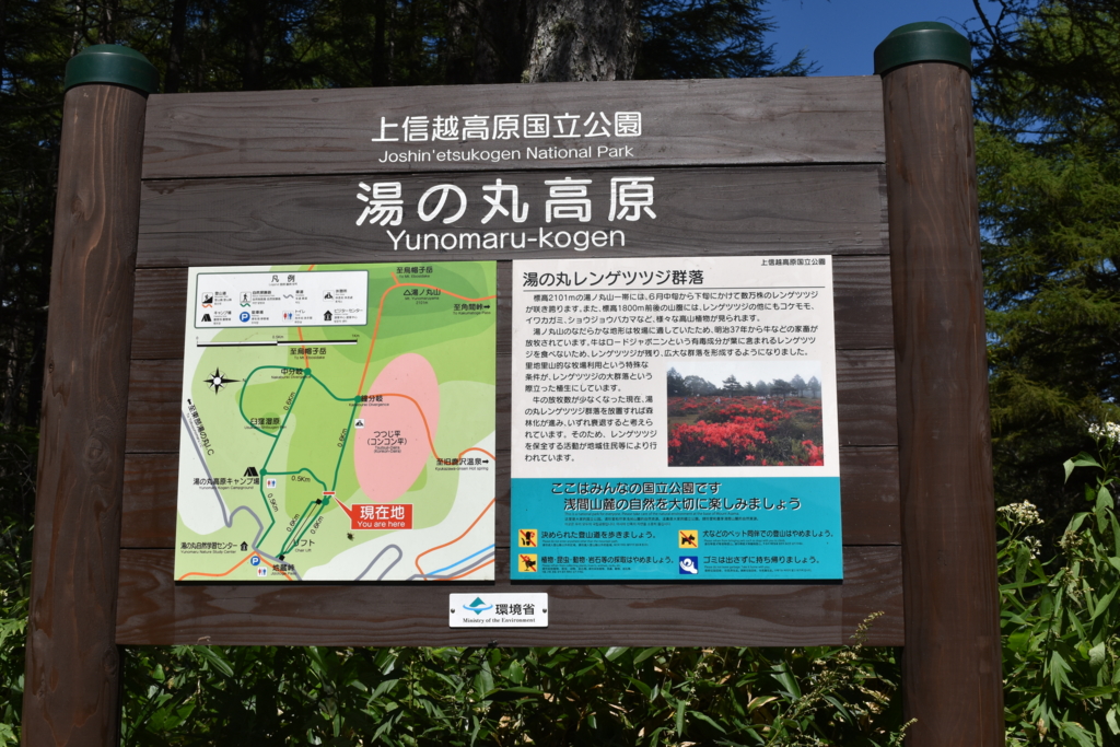 f:id:DONKIHOTE:20160918144739j:plain f:id:DONKIHOTE:20160918144739j:plain