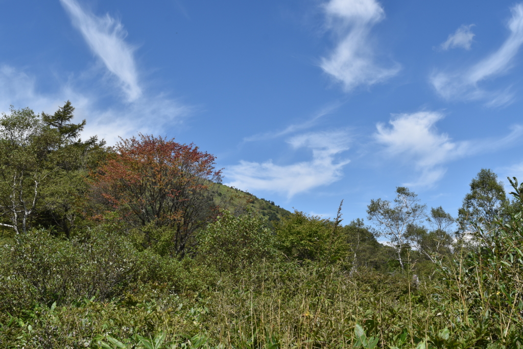 f:id:DONKIHOTE:20160918144830j:plain f:id:DONKIHOTE:20160918144830j:plain