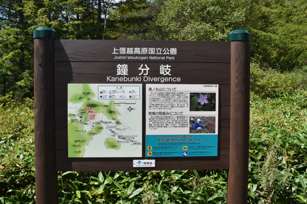 f:id:DONKIHOTE:20160918144908j:plain f:id:DONKIHOTE:20160918144908j:plain