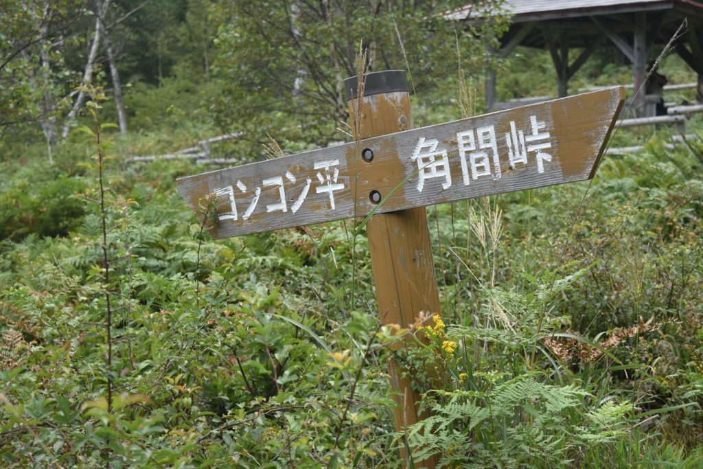 f:id:DONKIHOTE:20160918145524j:plain f:id:DONKIHOTE:20160918145524j:plain