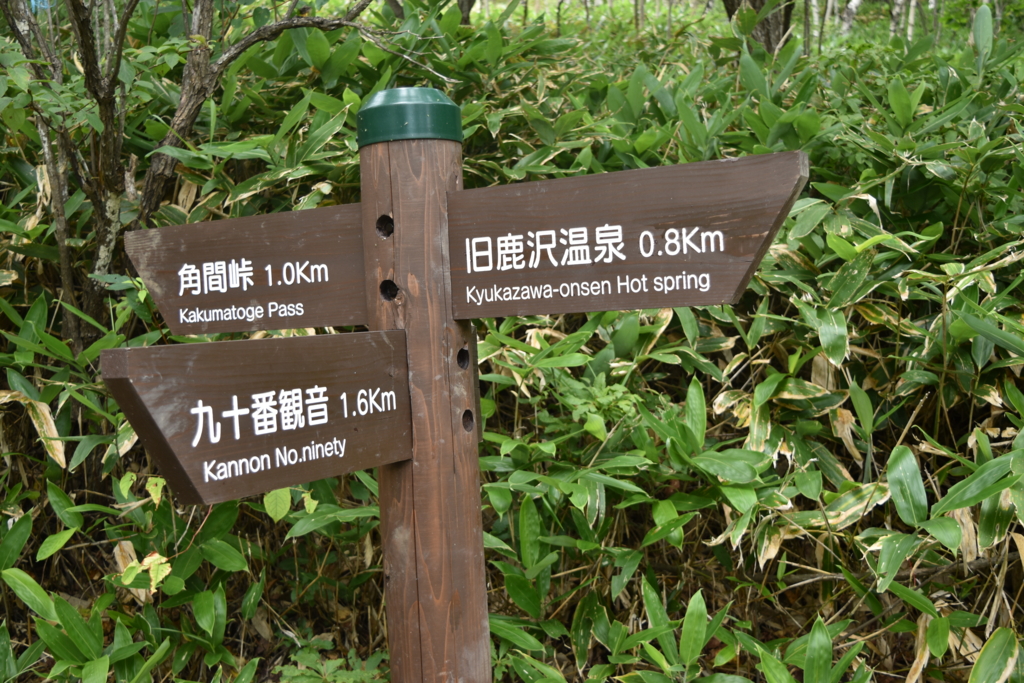 f:id:DONKIHOTE:20160918145528j:plain f:id:DONKIHOTE:20160918145528j:plain