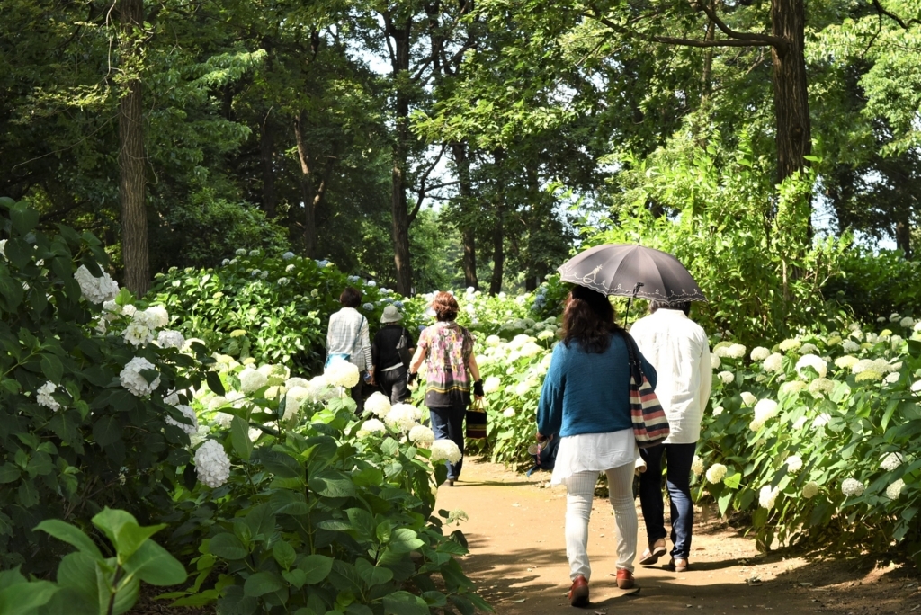 f:id:DONKIHOTE:20180614165847j:plain f:id:DONKIHOTE:20180614165847j:plain