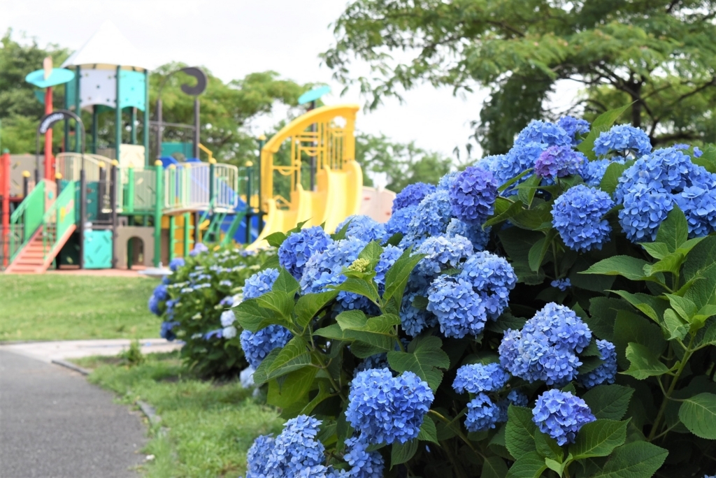 f:id:DONKIHOTE:20180614170145j:plain f:id:DONKIHOTE:20180614170145j:plain