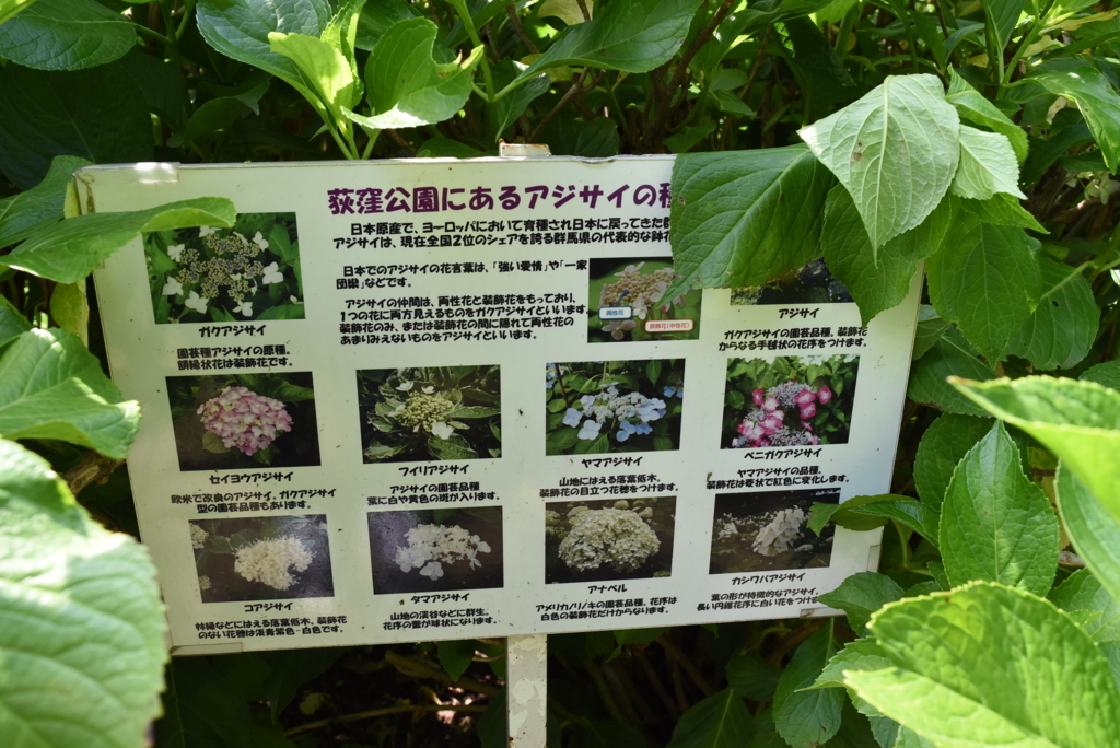 f:id:DONKIHOTE:20180614170337j:plain f:id:DONKIHOTE:20180614170337j:plain