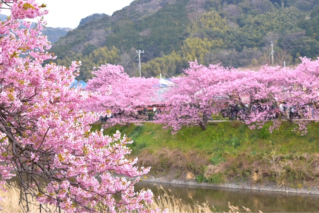 f:id:DONKIHOTE:20190312175110j:plain f:id:DONKIHOTE:20190312175110j:plain