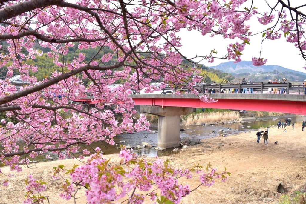 f:id:DONKIHOTE:20190312175322j:plain f:id:DONKIHOTE:20190312175322j:plain