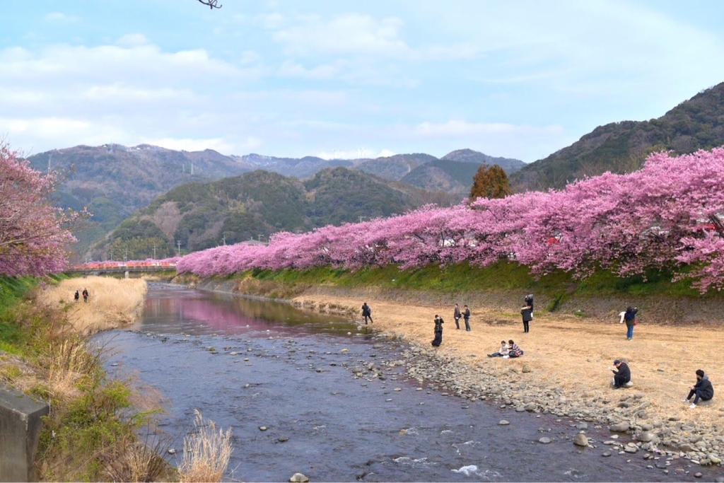 f:id:DONKIHOTE:20190312175348j:plain f:id:DONKIHOTE:20190312175348j:plain