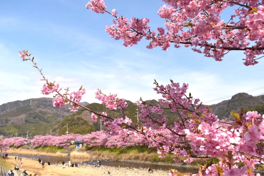 f:id:DONKIHOTE:20190312181450j:plain f:id:DONKIHOTE:20190312181450j:plain