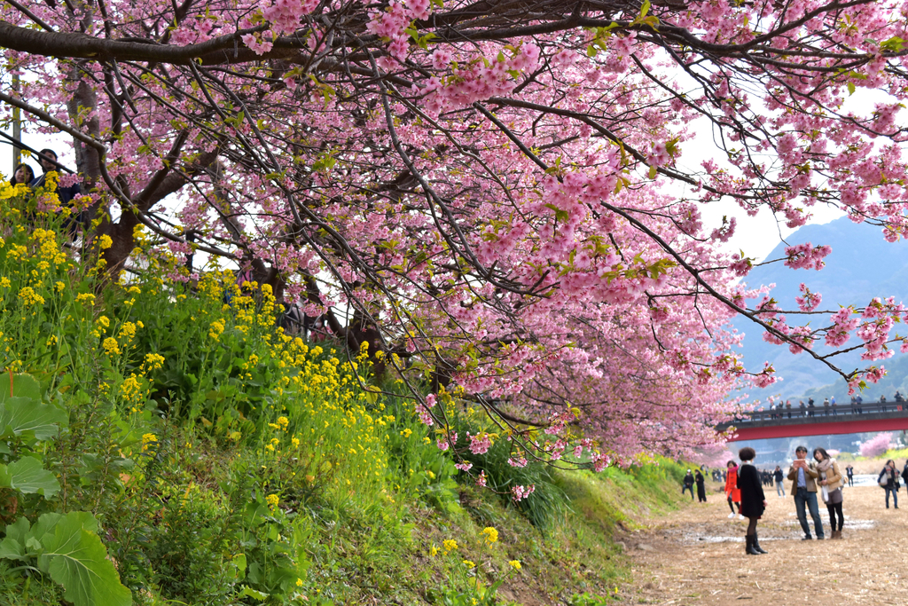 f:id:DONKIHOTE:20190312222504j:plain f:id:DONKIHOTE:20190312222504j:plain