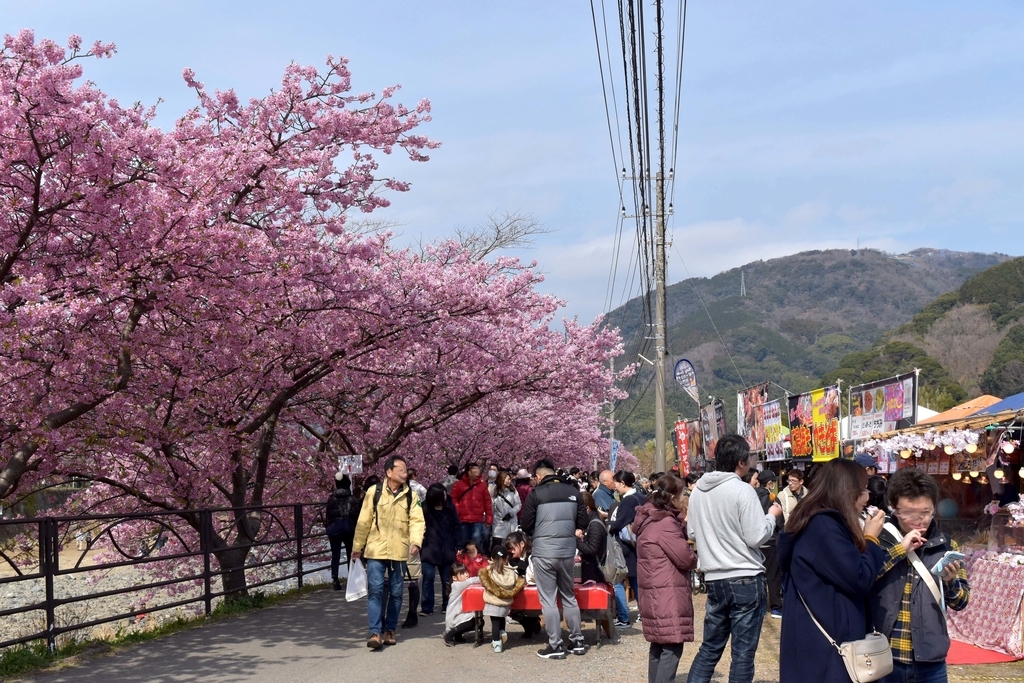 f:id:DONKIHOTE:20190312225937j:plain f:id:DONKIHOTE:20190312225937j:plain