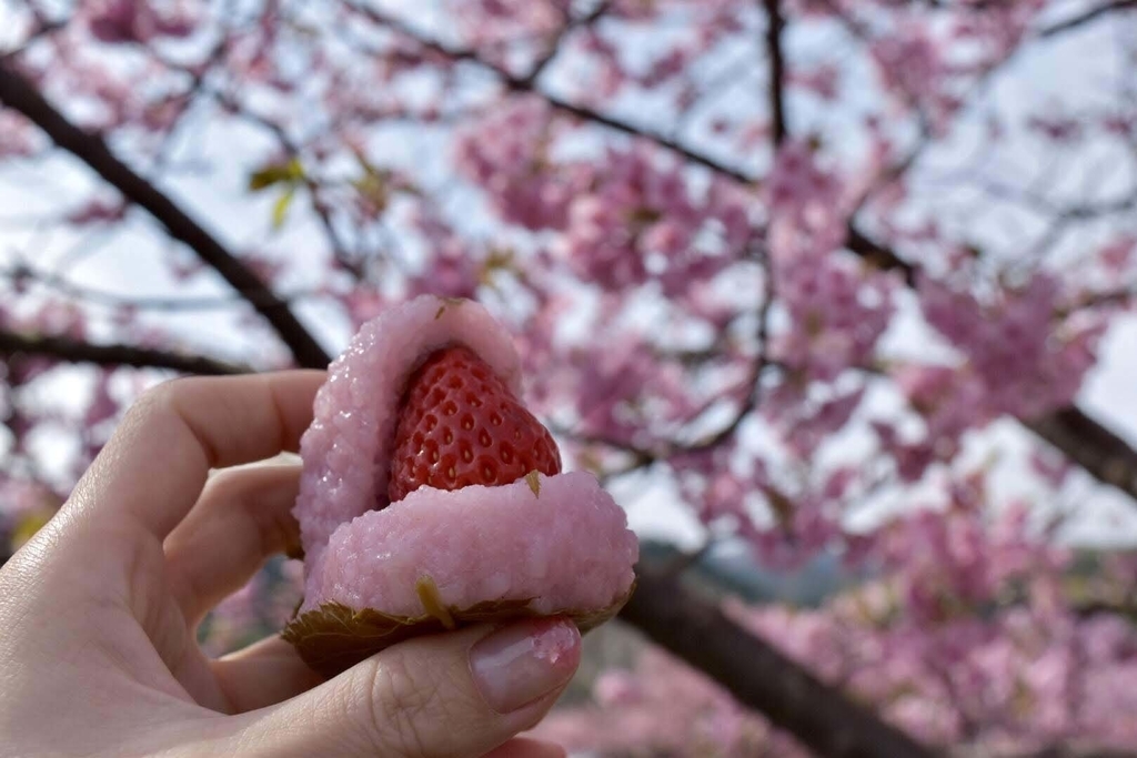 f:id:DONKIHOTE:20190312230028j:plain f:id:DONKIHOTE:20190312230028j:plain