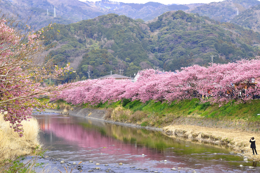 f:id:DONKIHOTE:20190312230545j:plain f:id:DONKIHOTE:20190312230545j:plain