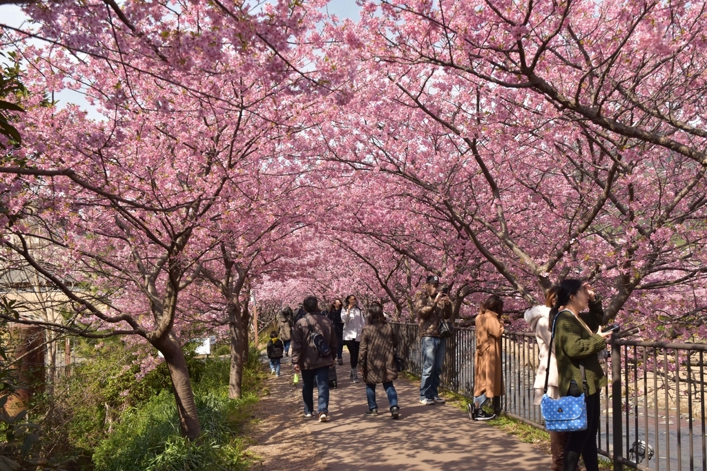 f:id:DONKIHOTE:20190312230705j:plain f:id:DONKIHOTE:20190312230705j:plain