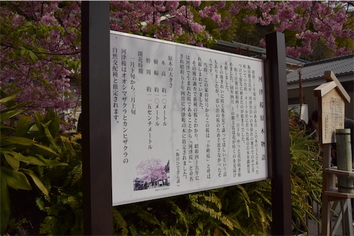 f:id:DONKIHOTE:20190313002100j:image f:id:DONKIHOTE:20190313002100j:image