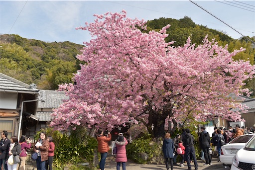 f:id:DONKIHOTE:20190313002629j:image f:id:DONKIHOTE:20190313002629j:image