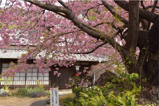 f:id:DONKIHOTE:20190313003439j:image f:id:DONKIHOTE:20190313003439j:image