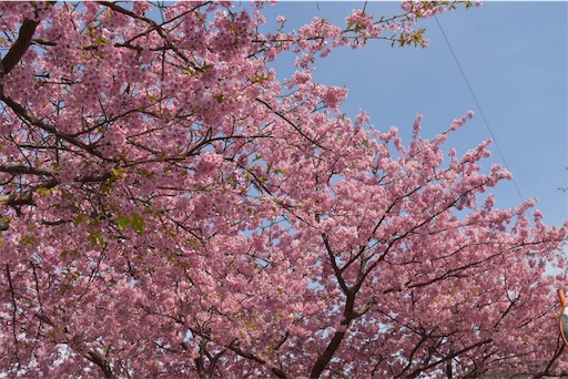 f:id:DONKIHOTE:20190313173121j:image f:id:DONKIHOTE:20190313173121j:image