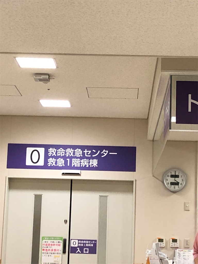 f:id:DORAAKITTY:20190323072842j:image