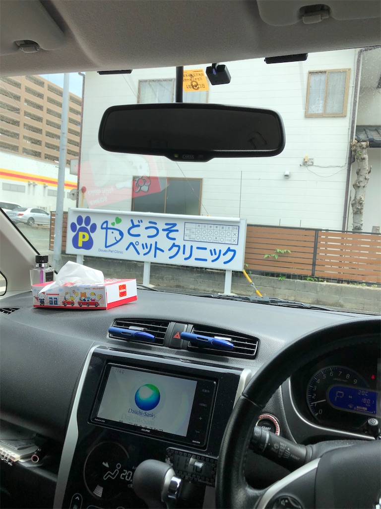 f:id:DORAAKITTY:20210514114109j:plain