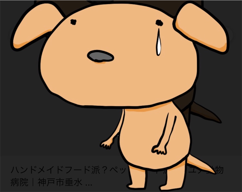 f:id:DORAAKITTY:20210618181445j:plain