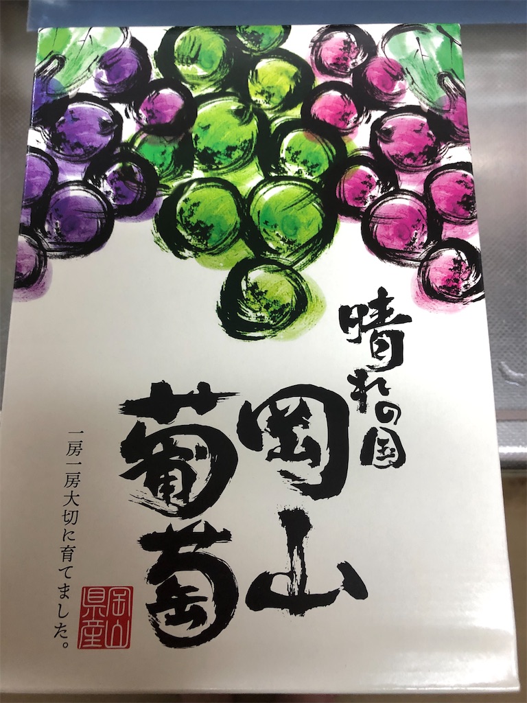 f:id:DORAAKITTY:20210814082013j:plain