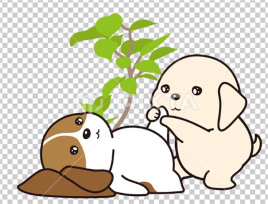 f:id:DORAAKITTY:20220106190854j:plain