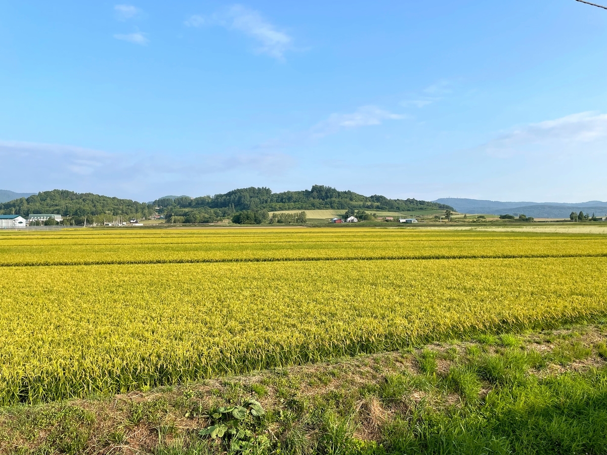 f:id:DORAYAKIKUN:20210824100002j:plain