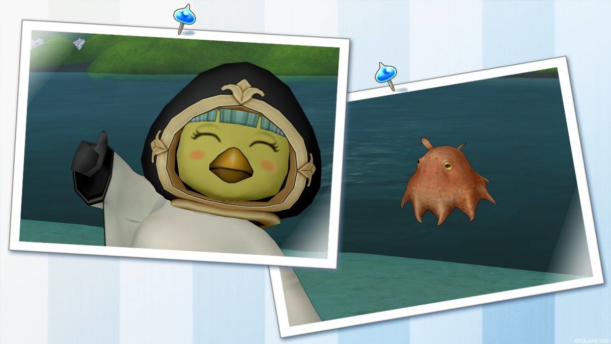 釣り金策メモ Ver2023夏 - メモ