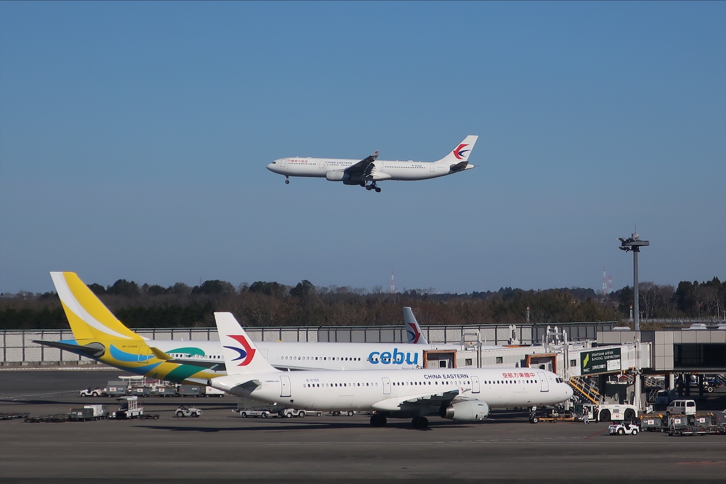 f:id:DREAMLINER:20200111230111j:image f:id:DREAMLINER:20200111230111j:image