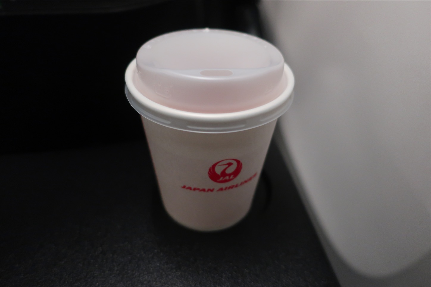 f:id:DREAMLINER:20210106165702j:image f:id:DREAMLINER:20210106165702j:image
