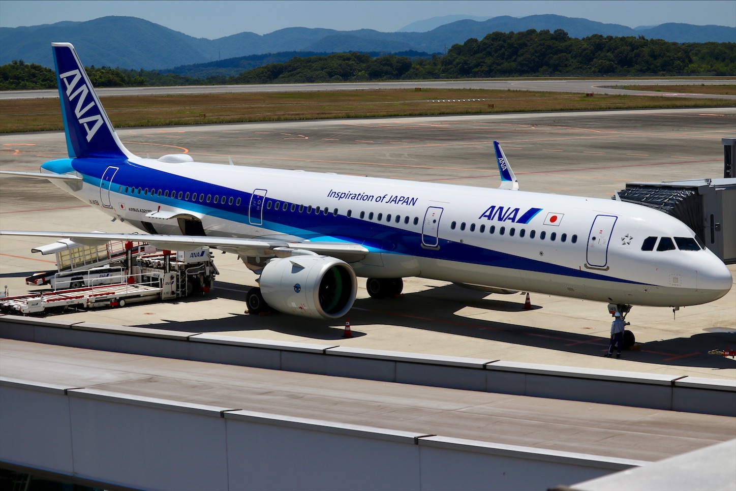 ANA 全日空 B767 バゲージタグ x2（飛行機ガイド【ボーイング