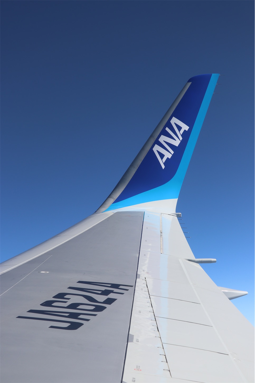 f:id:DREAMLINER:20250318174434j:image f:id:DREAMLINER:20250318174434j:image