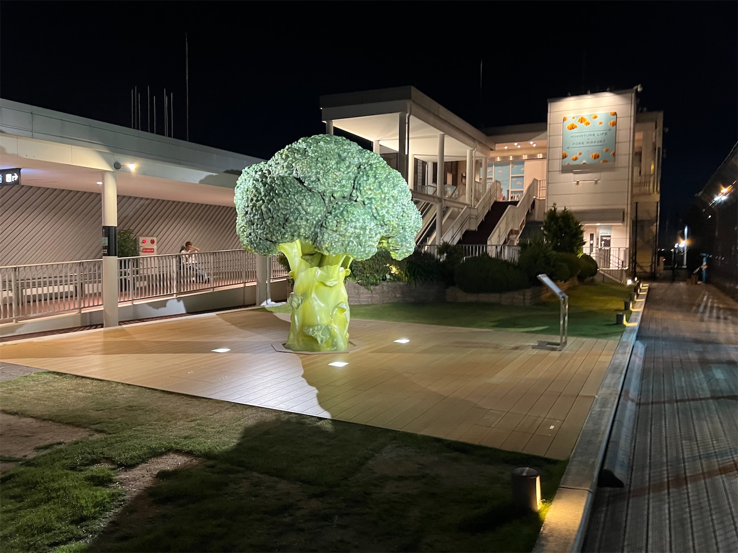 f:id:DREAMLINER:20250924134311j:image f:id:DREAMLINER:20250924134311j:image